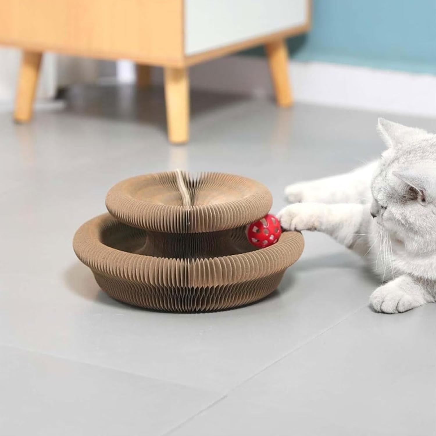 Kitty Curls Cat Toy